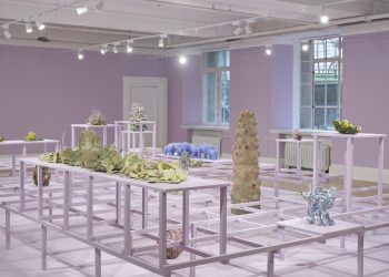 Undergrowth at County Hall Pottery