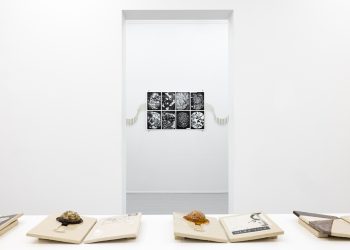 Marte Johnslien ceramics