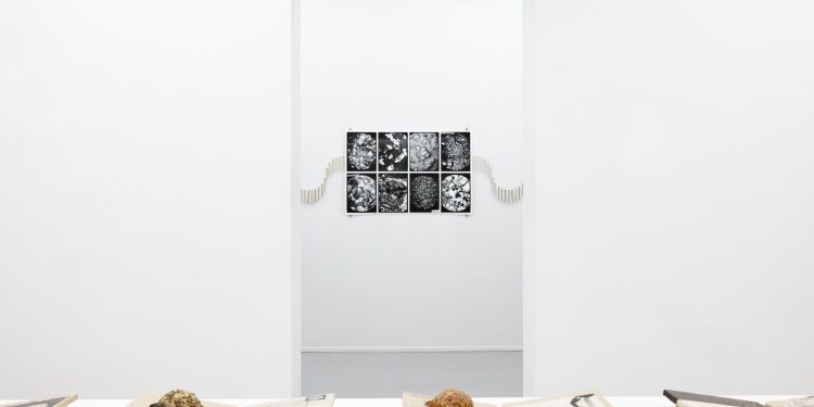 Marte Johnslien ceramics