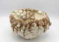 Anca Ion ceramics