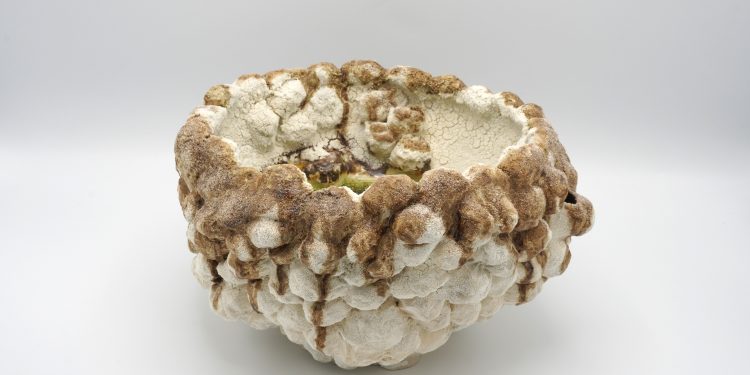 Anca Ion ceramics