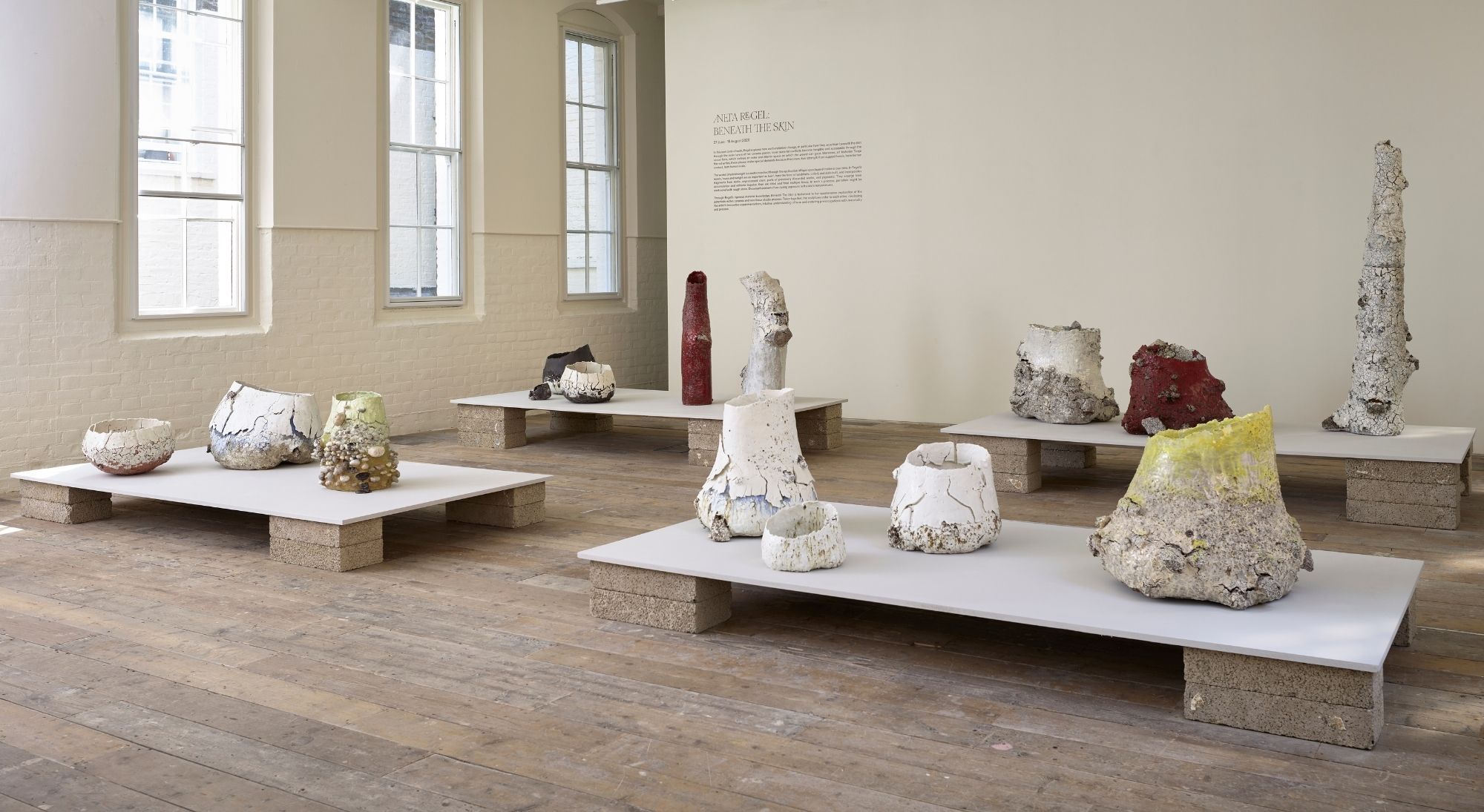 Aneta Regel ceramics